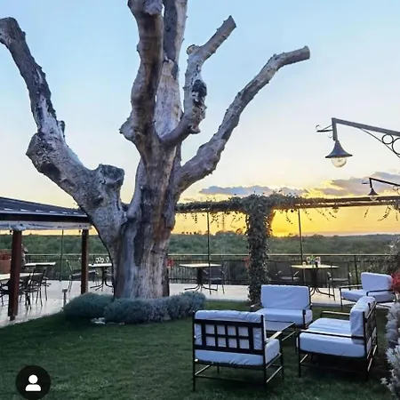 Morgan ベッド・アンド・ブレックファスト